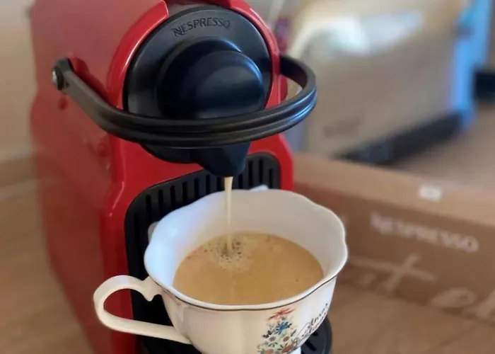 C-entral American Bucarest